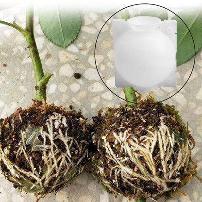 Plant Breeding Ball - Grow Roots